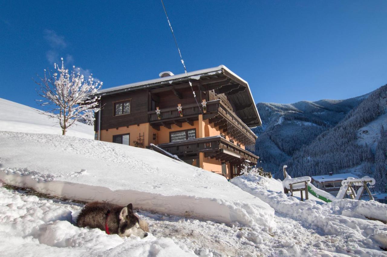 Appartements Moser Viehhofen Dış mekan fotoğraf