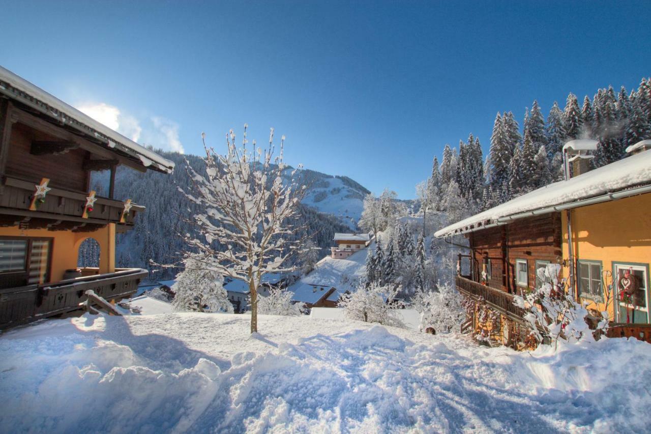 Appartements Moser Viehhofen Dış mekan fotoğraf
